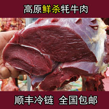 高原牦牛肉新鲜原切批发冰鲜装冷冻牛肋里脊后腿牛腩牛腱顺丰代发