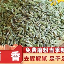正宗甘肃小茴香川菜火锅调料500g炖肉烧烤撒料香料调料大全可磨粉