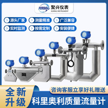 科里奥利质量流量计  科氏力液体质量流量计  高压超低温流量计