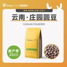 SINLOY精品咖啡豆 精选阿拉比卡庄园圆豆  可现磨黑咖啡粉454g