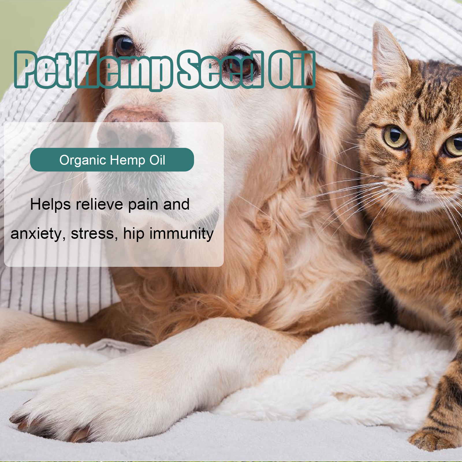 Yegbong Pet Hemp Seed Oil Dogs and Cats Anorexia Essential Oil