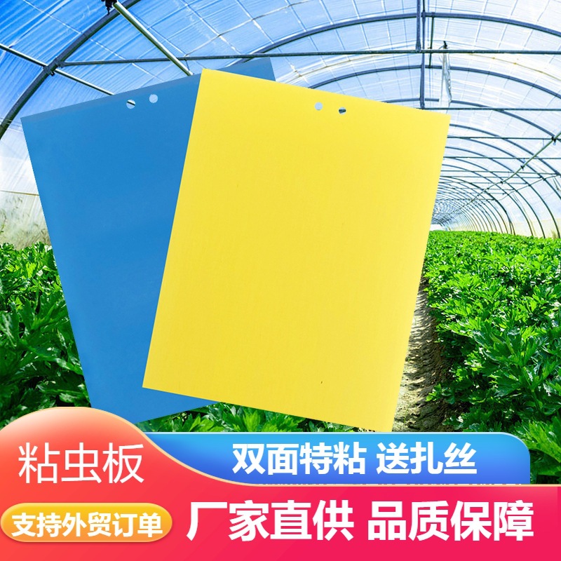 粘虫板诱虫板厂家批发双面黄板蓝板大棚专用强力黄蓝一体板杀虫