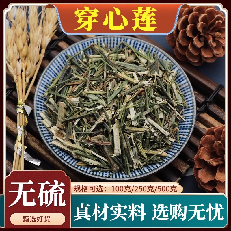 穿心莲中药材榄核莲苦胆草四方莲穿心连苦草一见喜无硫天然500g克