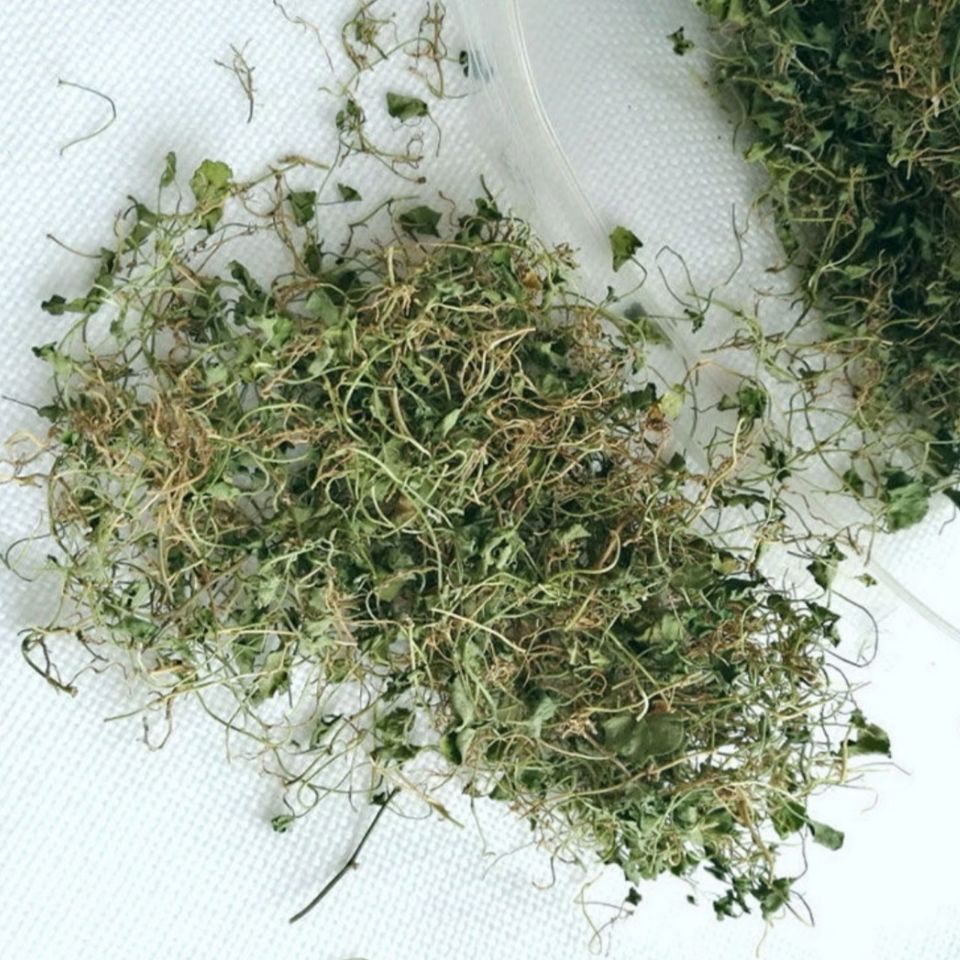 金钱草四川小叶金钱草茶干金钱草马蹄金包邮
