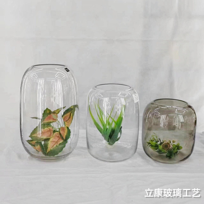 Creative Transparent Glass Vase Hydroponic Flowers Fish Tank Micro Landscape Landscaping Hotel Home Glass Vase Decoration