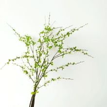 靓家花房仿真手球雪柳枝条餐桌装饰花艺插花摆件嫩柳芽枝假花摆设