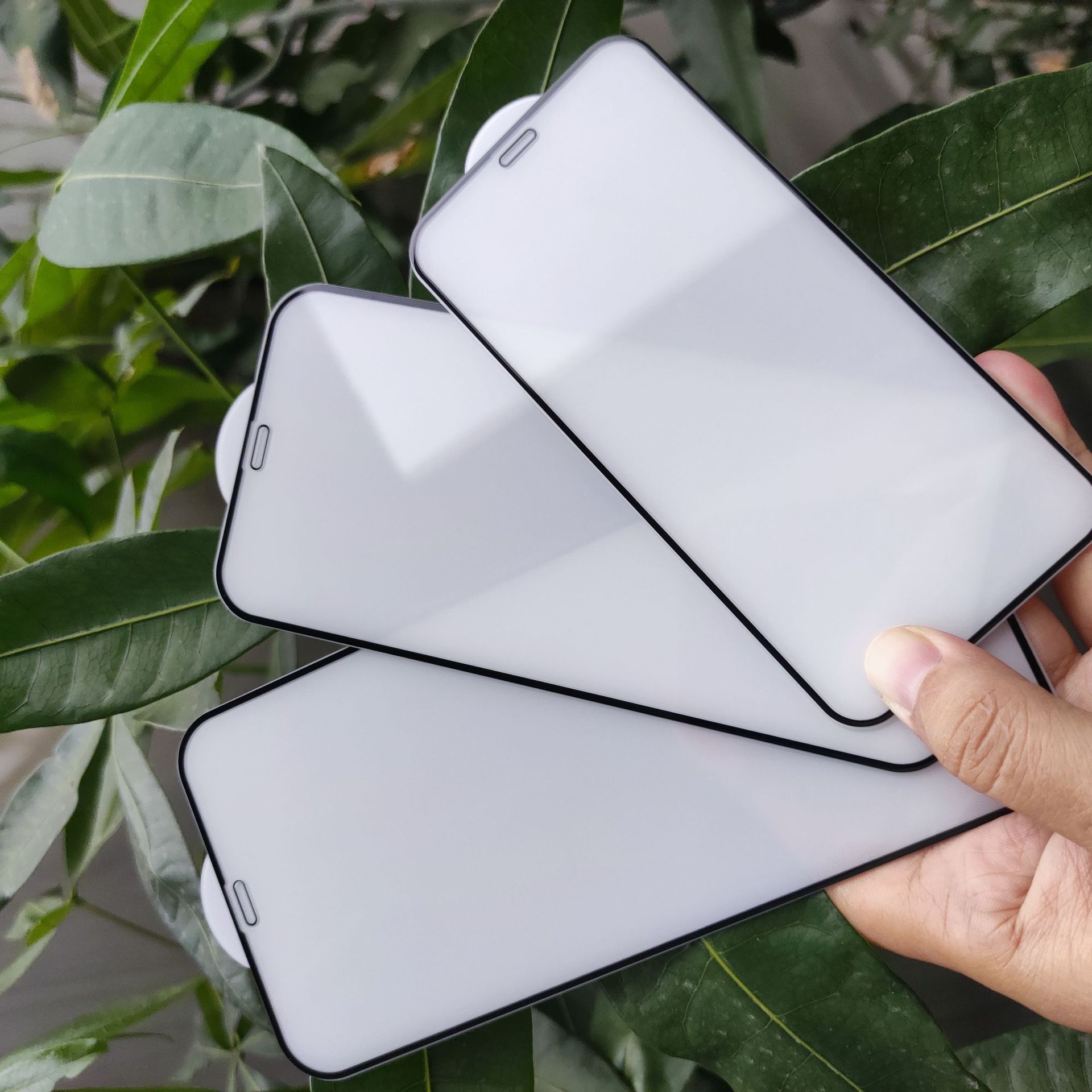 适用苹果13防静电防尘四强钢化膜12promax全屏4s膜苹果11手机膜xr