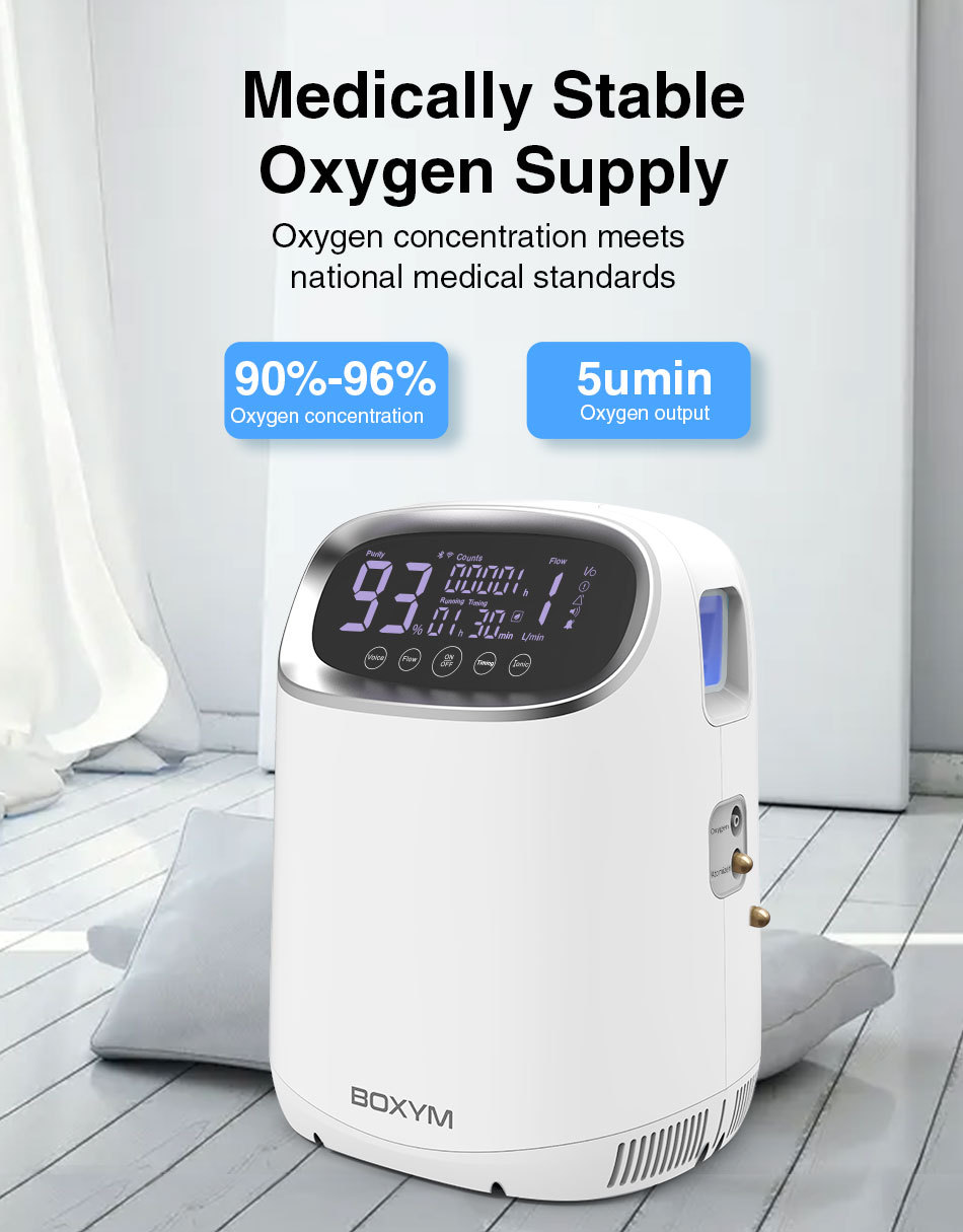 便携式家用小型智能制氧机1l/2l/3l氧气机 吸氧机工厂外贸出口