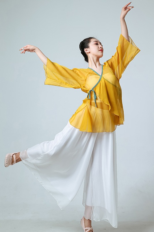 古典舞女身韵纱衣练功服飘逸风现代舞蹈演出上衣服装仙气套装
