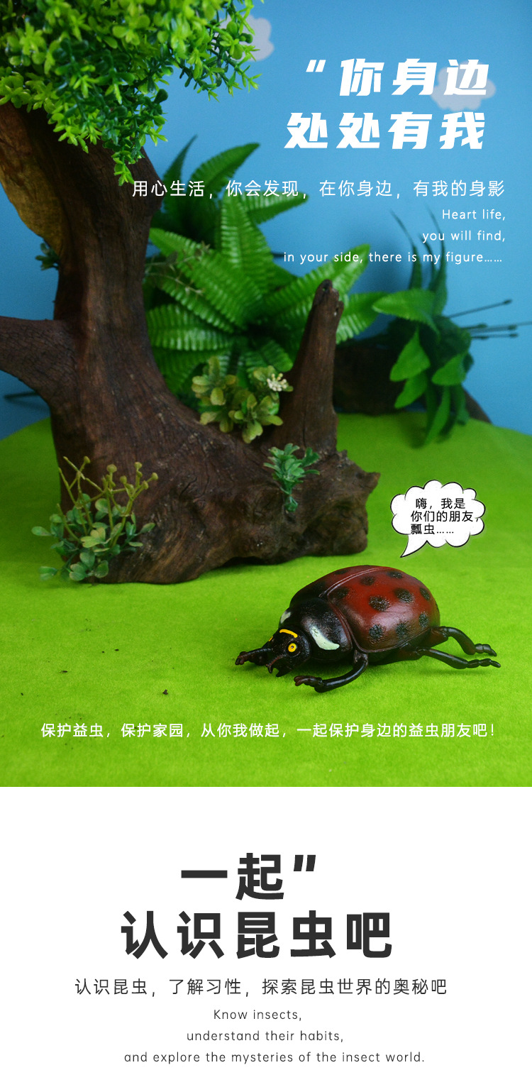 跨境热卖多款仿真昆虫模型动物摆设沙盘场景科教认知动物模型