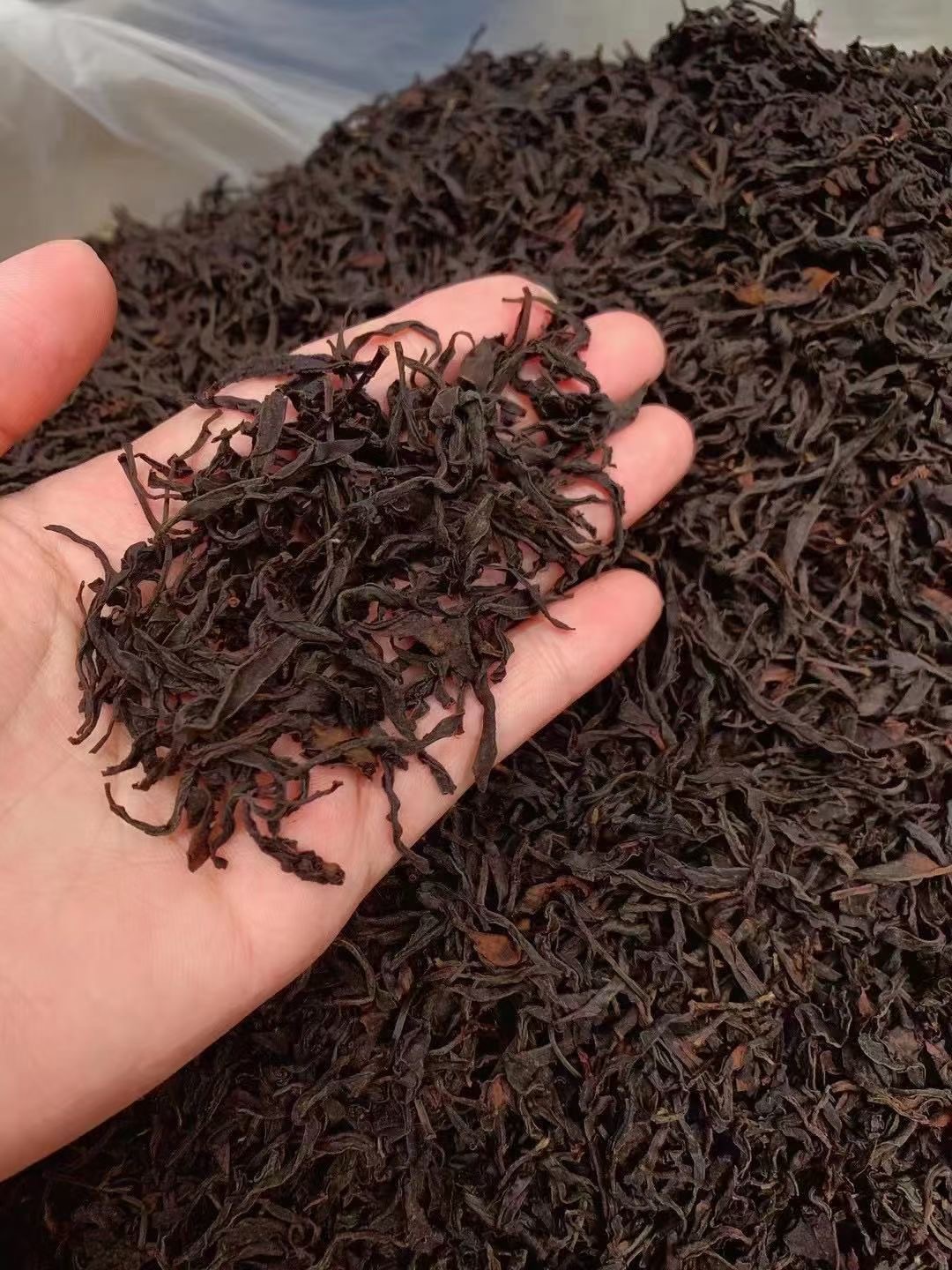 福建坦洋工夫红茶2020年金牡丹红茶茶王礼盒装高档送礼新年礼盒