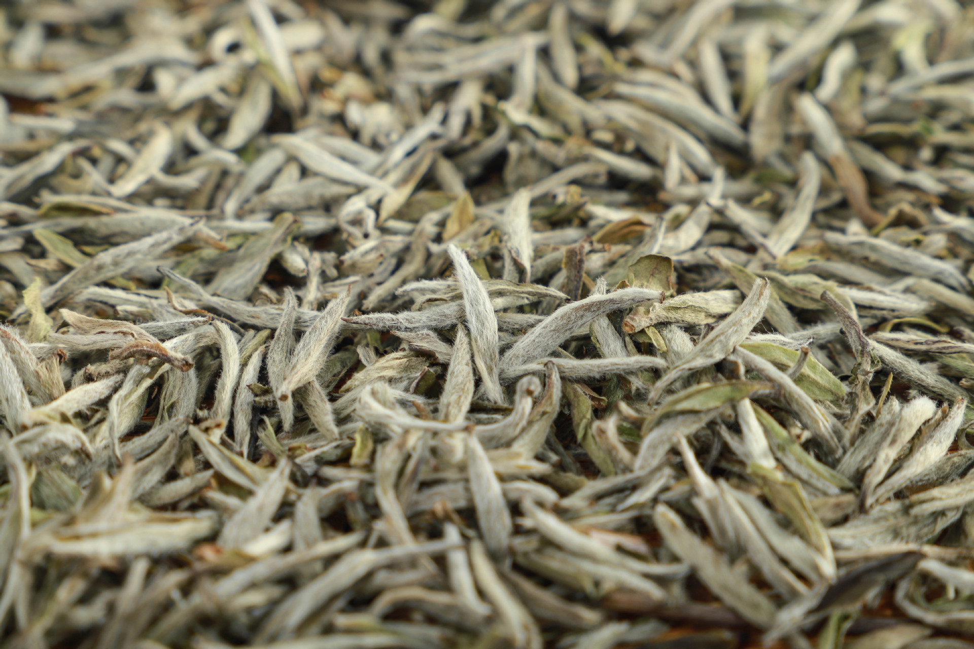 白茶叶白毫银针福建福鼎白茶散装白毫银针