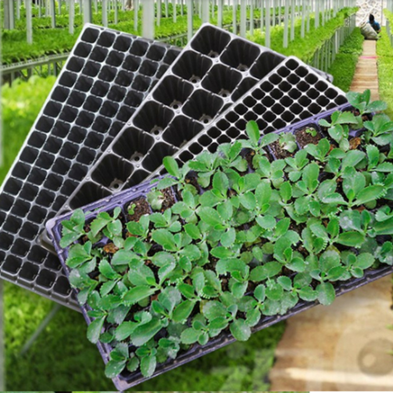 源头商家可定制各种吸塑无土育苗托盘种植蔬菜芽苗菜周转盘潮汐盆