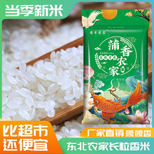 当季新米代发东北大米稻花香长粒香米10斤 品质好米批发零售