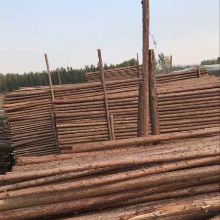 支撑杆杉木杆高压线防护13693109768