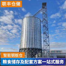 50—1000吨装配式粮仓 大型玉米小麦粮食钢板仓 新型圆形储粮仓