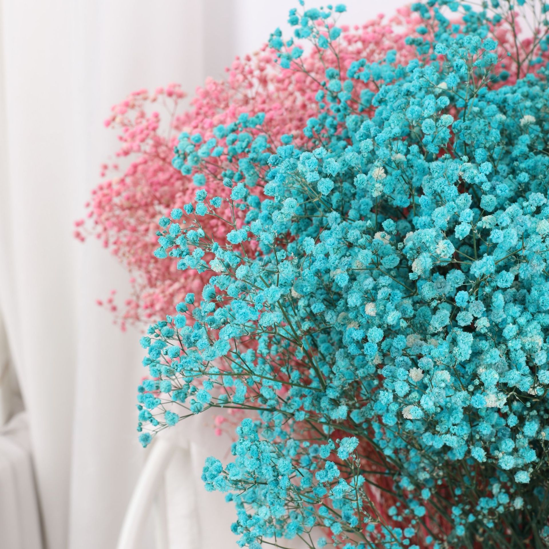 云南永生满天星花束礼盒情人节礼物瓶插花摆拍道具礼品花厂家批发