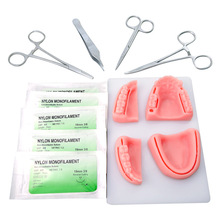 牙科实习工具包、口腔模型、锻针、含 凝胶的口腔缝合训练器械包