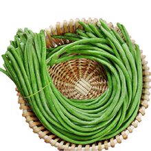 当天现摘长豆角5斤新鲜蔬菜1斤嫩豇豆现摘青豆角可腌制酸豆角批发