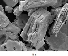 5-20μm 碳化钽(Ta4C3Tx)MXene 多层纳米片   1g