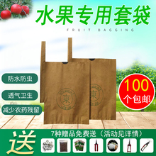 水果套袋枇杷袋套柚子芒果梨子桃子苹果枇杷果套袋袋育果袋纸商用