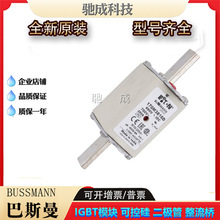 巴斯曼170M3816 170M3817 170M3818  快速熔断器品牌直销质量可靠