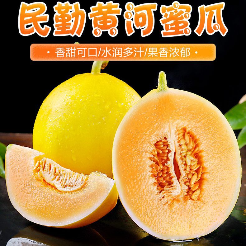 『甘肃民勤蜜瓜』黄皮白肉黄肉随机多汁爽口脆甜陕西黄河蜜瓜水果