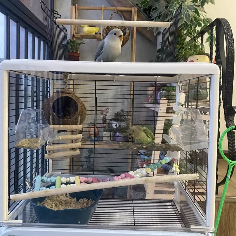 亚克力鸟笼家用室内透明牡丹虎皮互动鹦鹉笼大号透明观赏鸟笼子