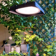 阳台太阳光模拟灯仿太阳全光谱灯室内养兰花卉蔬菜植物生长补光灯