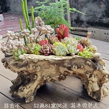 多肉花盆枯木根雕艺术摆件绿植文竹专用大口径长方形老桩家用花盆