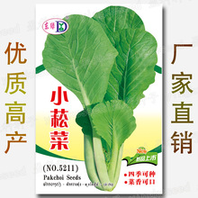 小菘菜种子 约2500粒 四季小松菜籽耐抽苔油嫩高抗性蔬菜种子批发
