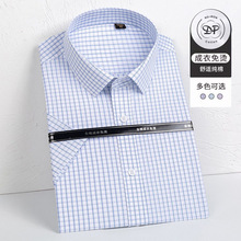 【DP免烫】高端鲁泰100支双股纯棉短袖衬衫男士夏季商务正装衬衣