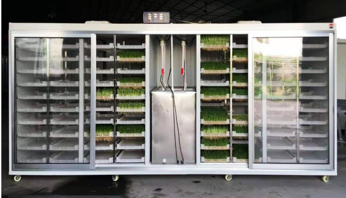 芽苗菜智能催芽机
