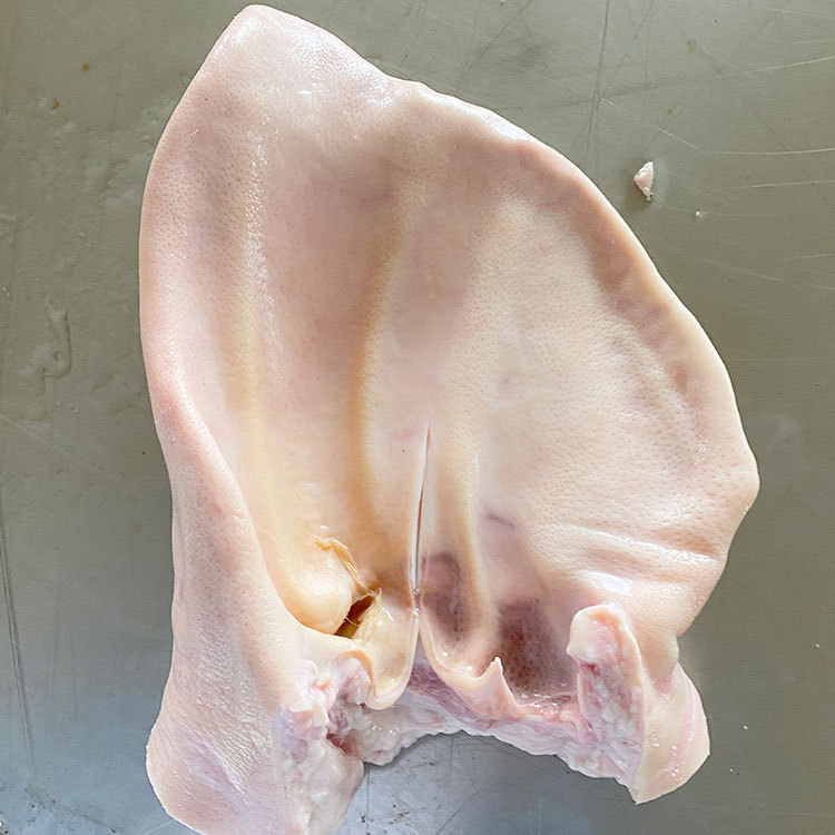 新鲜冷冻猪耳朵未腌制无毛猪耳朵 10kg/箱 卤制凉拌食材厂家批发