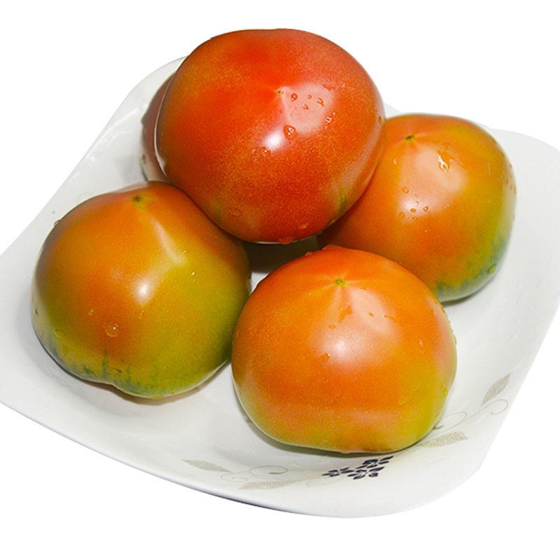 丹东铁皮柿子应季草莓柿子绿腚碱地油柿子新鲜水果西红柿包邮5斤