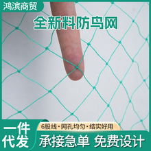 涤纶防鸟网 绿色加厚网养殖网大棚果园网跨境爬藤网防鸟防雹