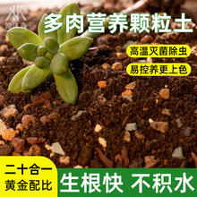 壕沐森 多肉土营养颗粒土低端专用营养种植土园艺盆栽