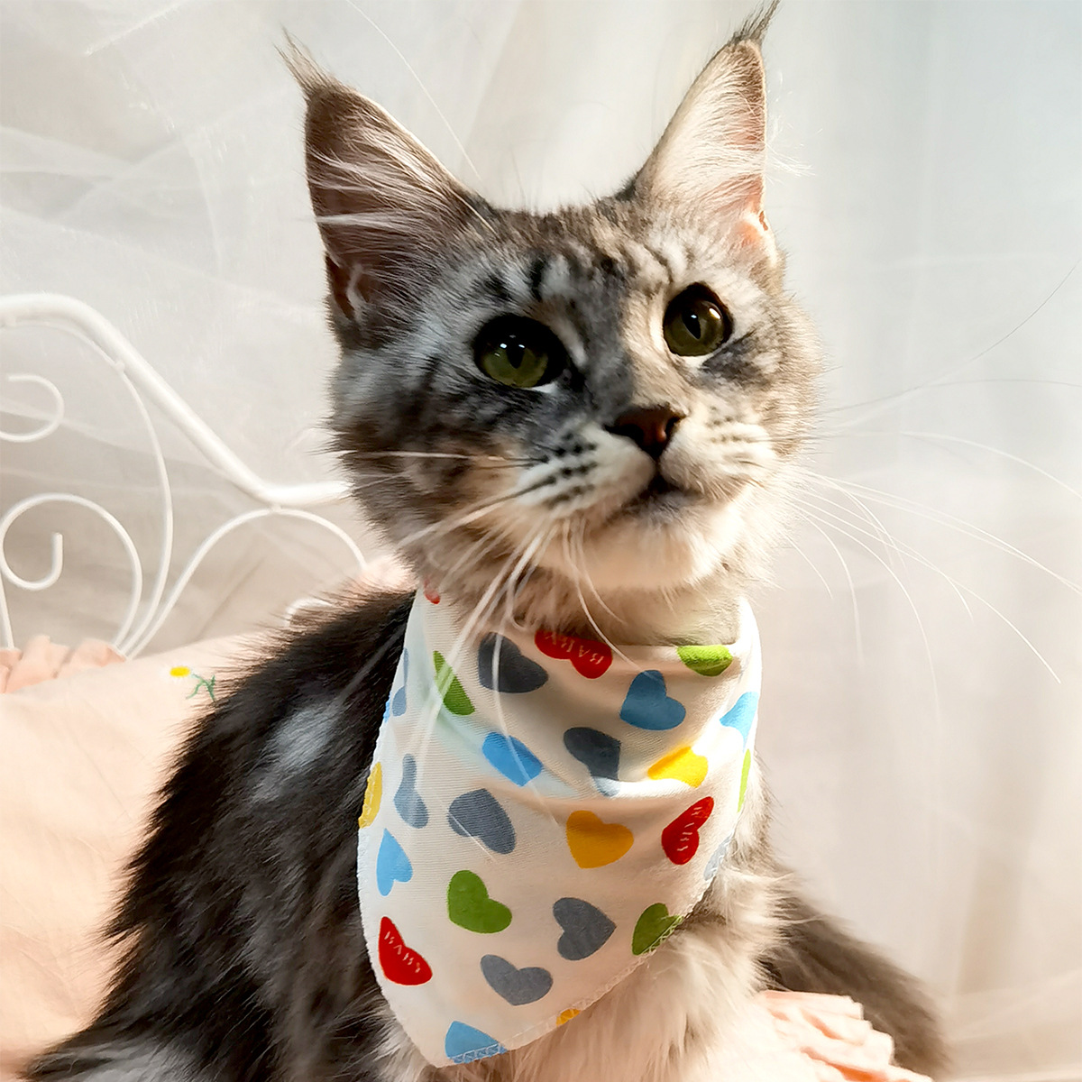 宠物三角巾狗狗方巾万圣节圣诞节款宠物用品亚马逊跨境一件代发