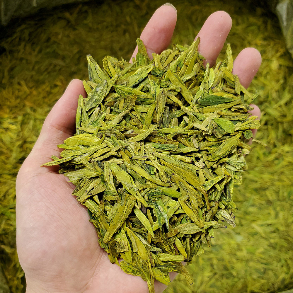 黄版龙井茶群体种老茶蓬土茶浓豆香耐泡2021新茶绿茶批发散装茶叶