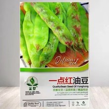 一点红油豆种子将军王高产宽芸豆种籽不鼓豆抗寒抗病东北豆角春季