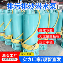 云南厂家18.5kw隔爆型全扬程潜污泵 防爆铸铁排沙电泵 BQS防爆泵