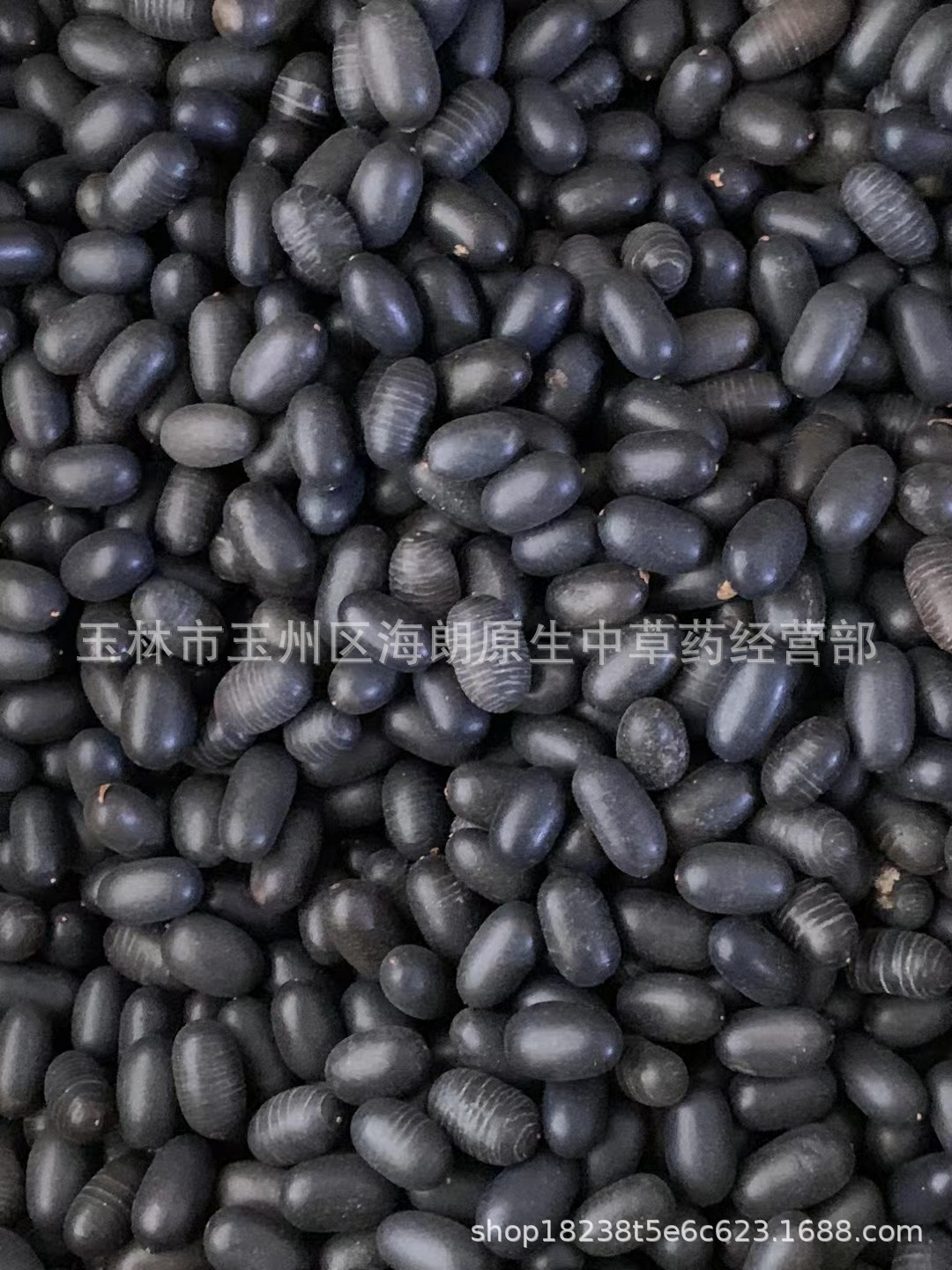 中药材石莲子 苦石莲 双肾子壳莲子每件500g泡酒好材料接大小订单