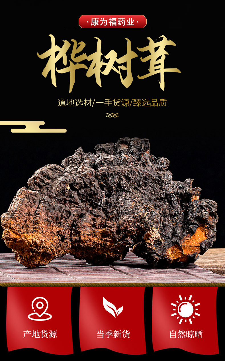桦树茸 白桦树茸桦褐孔菌长白山桦树茸俄罗斯桦树茸中药材桦树茸