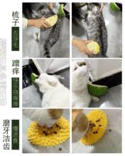 新品榴莲宠物蹭痒梳猫咪墙角器磨牙慢进食去浮毛按摩梳猫薄荷玩具