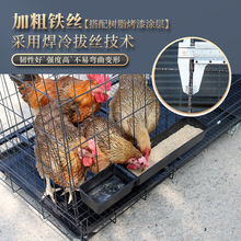 鸡笼子养殖笼铁丝笼加粗养鸡笼子鸡舍家用特大号折叠自动滚蛋鸡笼