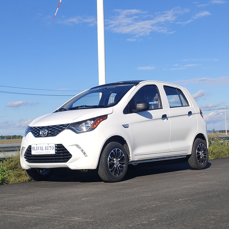 老年代步车 家用外放电成人代步车5门4座车新款外放电电动汽车