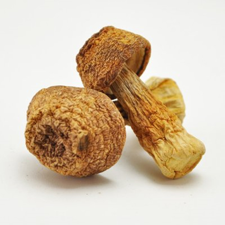 姬松茸提取物10:1 20:1现货供应 姬松茸萃取粉 批发零售 姬松茸粉