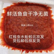 鲜活红线虫红丝虫水蚯蚓红线虫活体鱼食线虫活虫顺丰红线虫新鲜