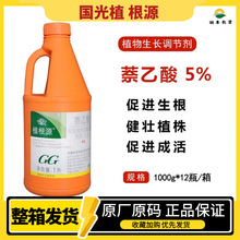 国光植根源萘乙酸生根剂大桶实惠装苗木移栽古树复壮生根粉生根液