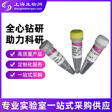 T4?DNA连接酶（快速）试剂TIANGEN上海生物网NG201-01